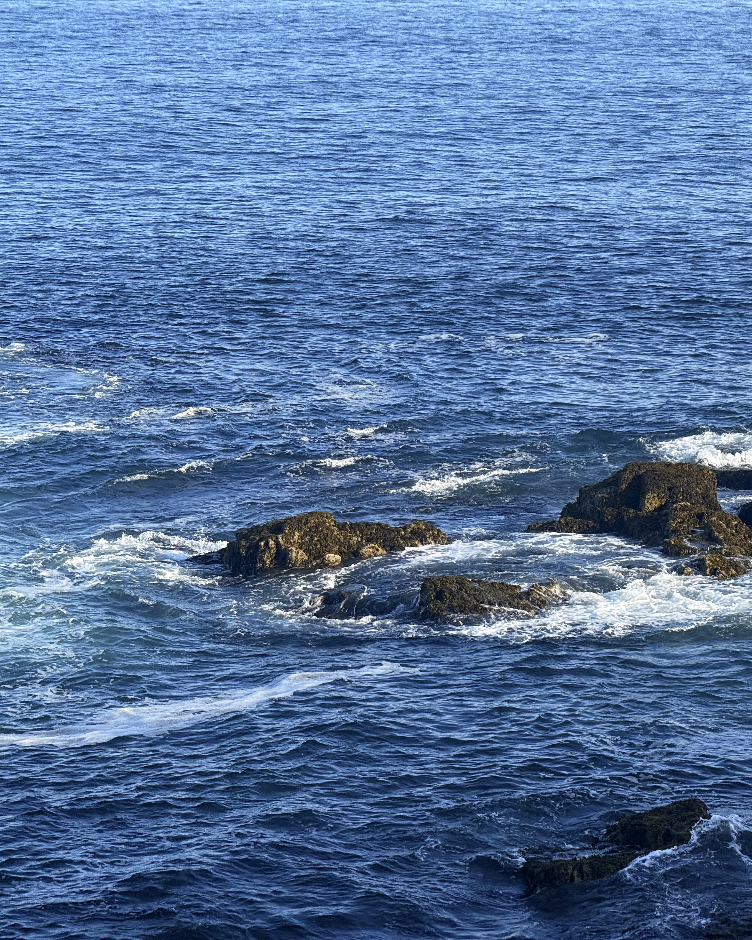 Personal photo from Acadia National Park