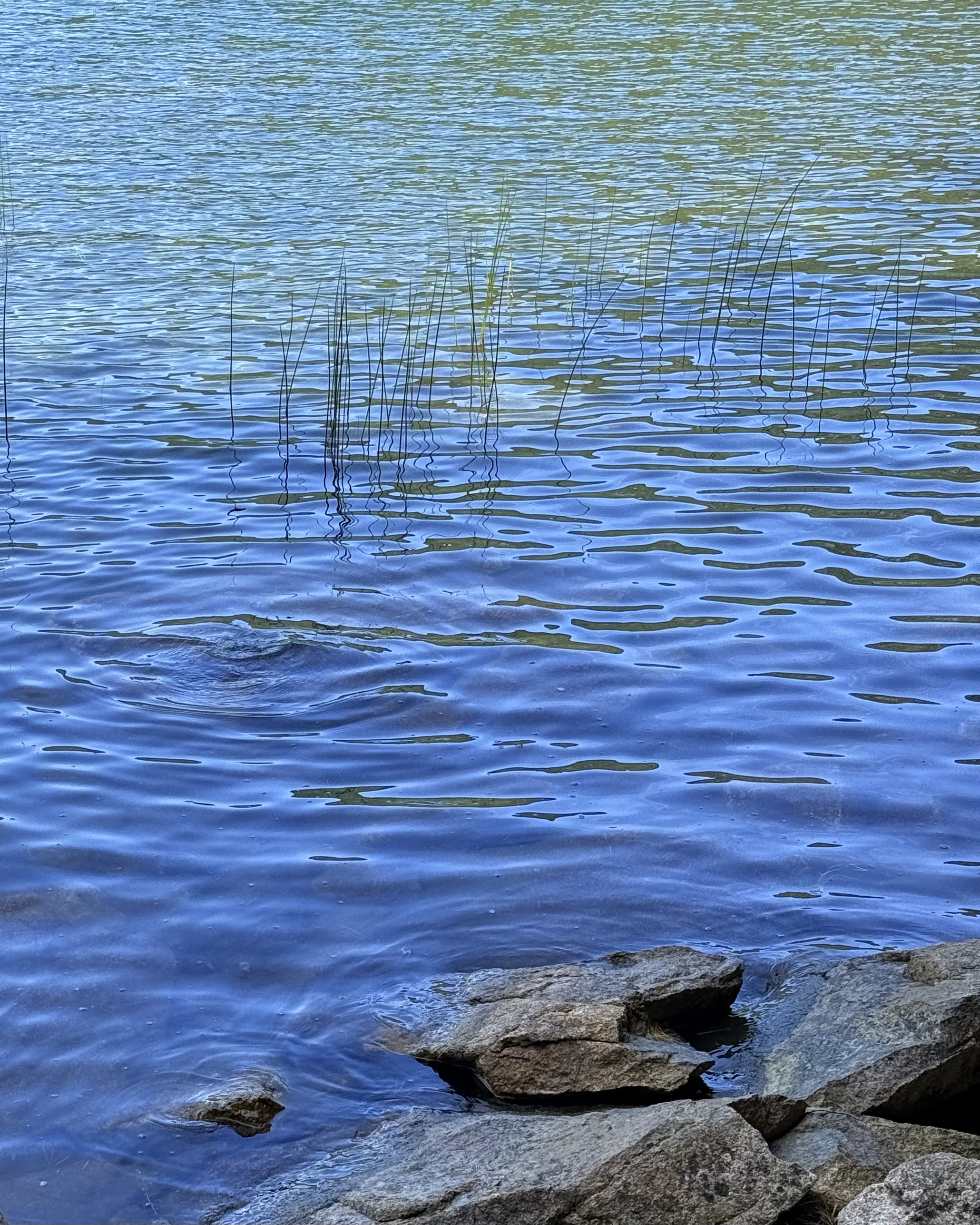 Personal photo from Acadia National Park