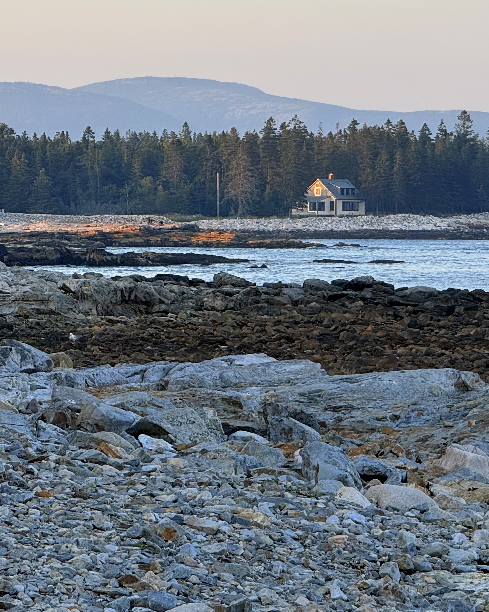 Personal photo from Acadia National Park