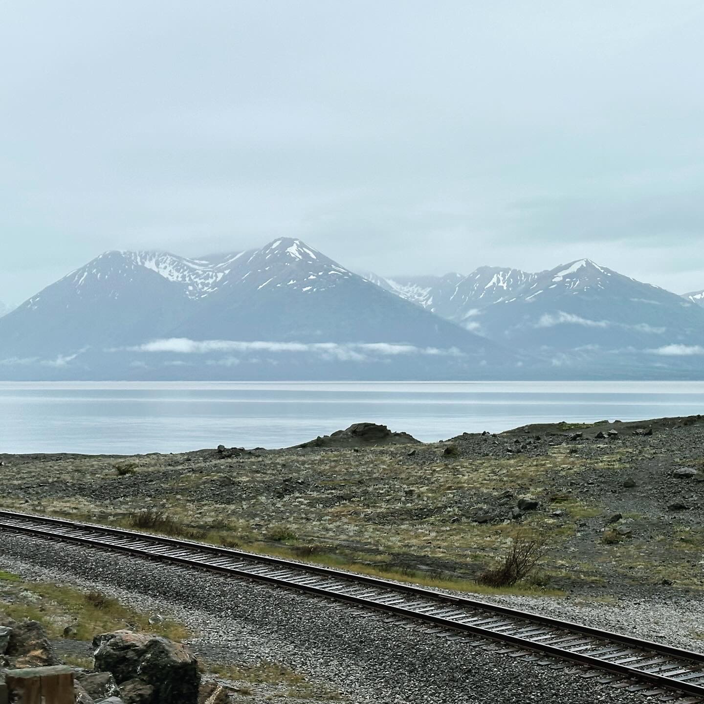 Personal photo from Denali National Park