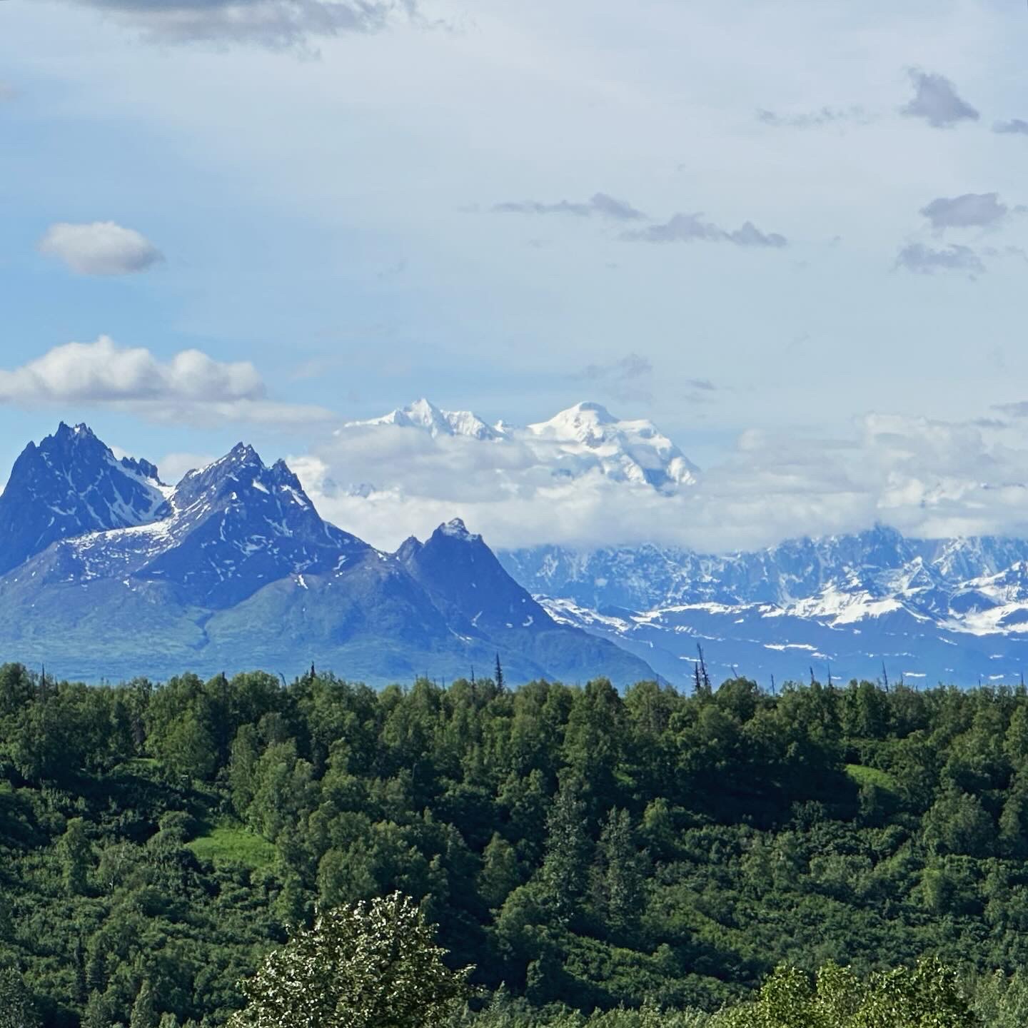 Personal photo from Denali National Park