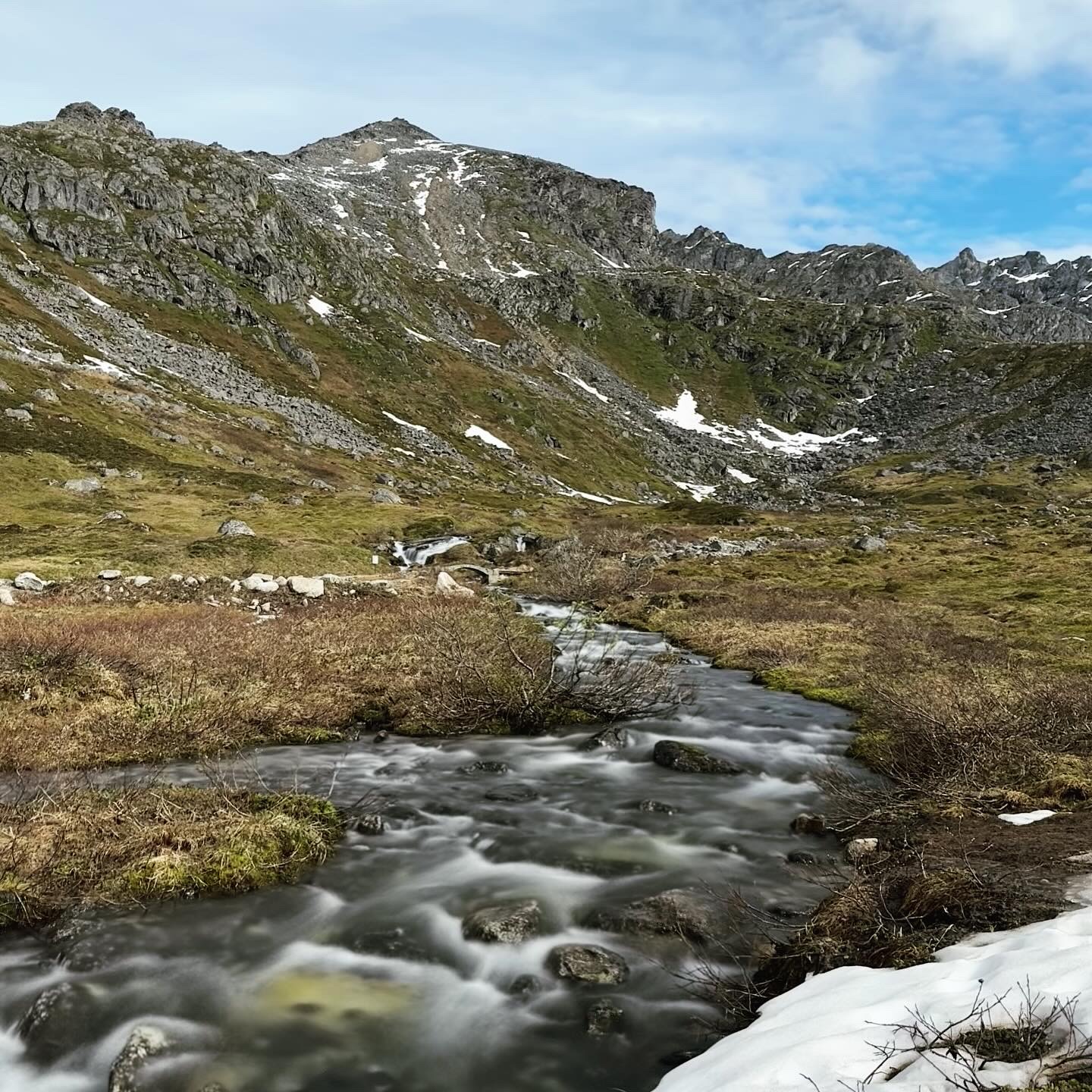 Personal photo from Denali National Park