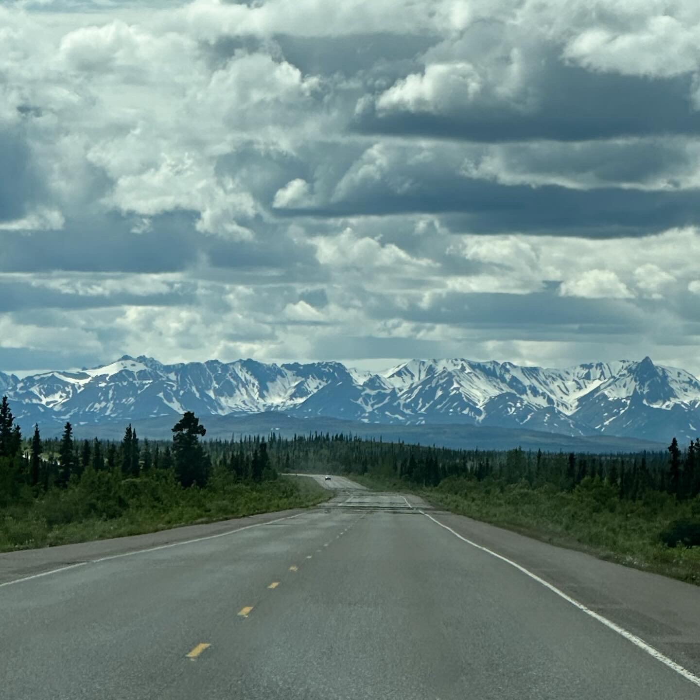 Personal photo from Denali National Park