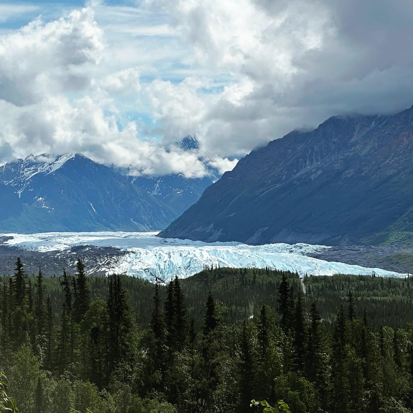 Personal photo from Denali National Park