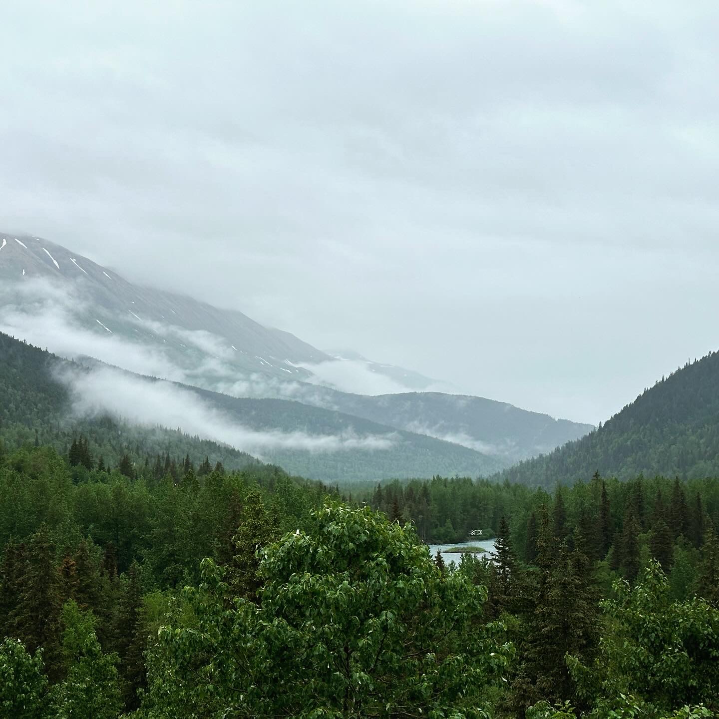 Personal photo from Denali National Park
