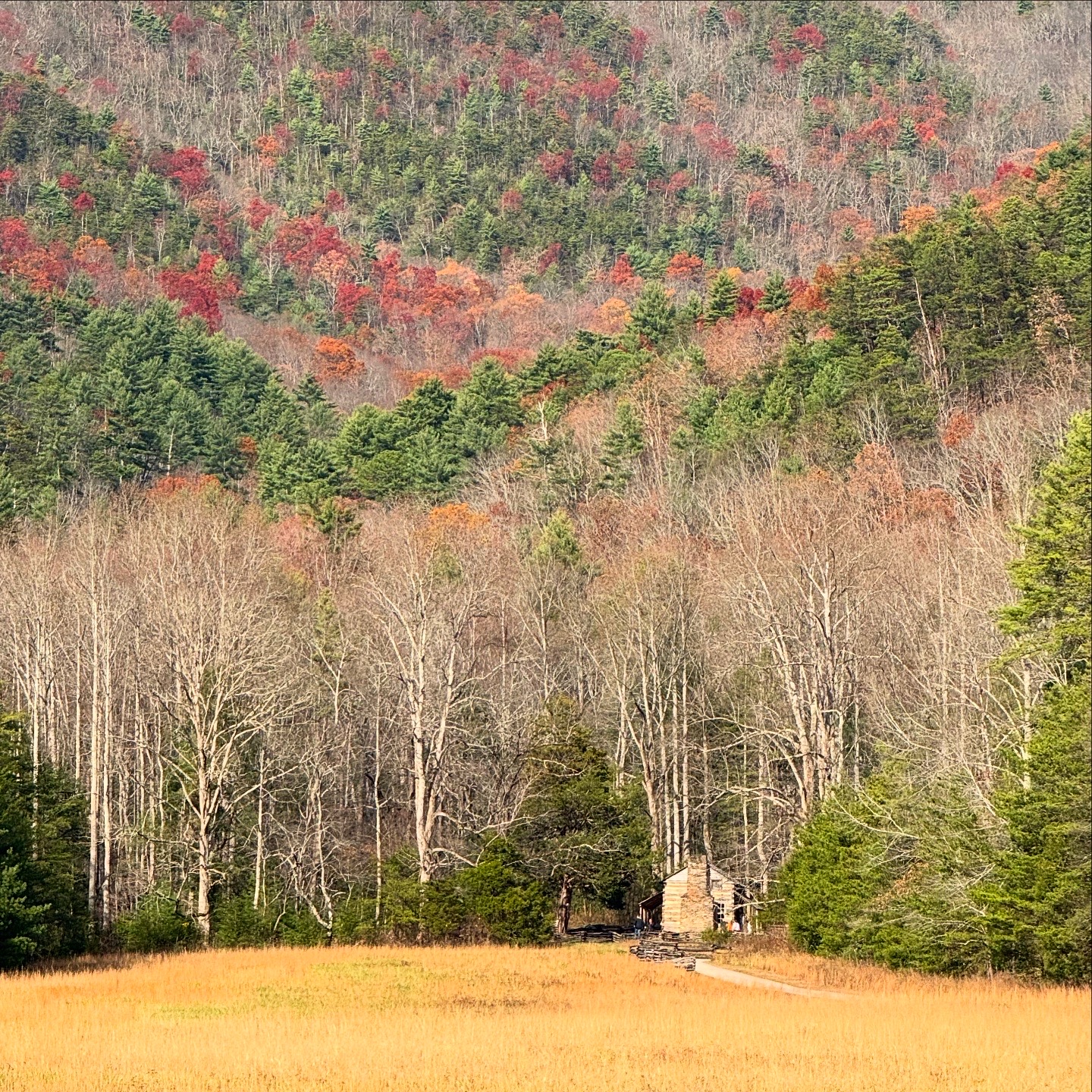 Personal photo from Great Smoky Mountains National Park