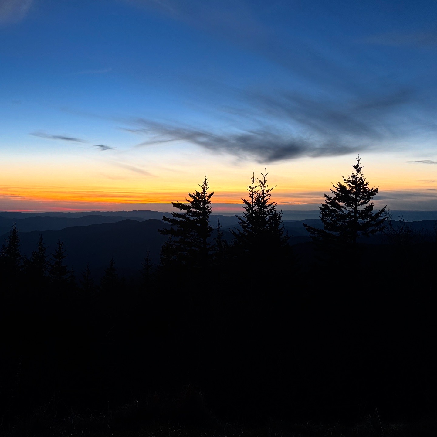 Personal photo from Great Smoky Mountains National Park