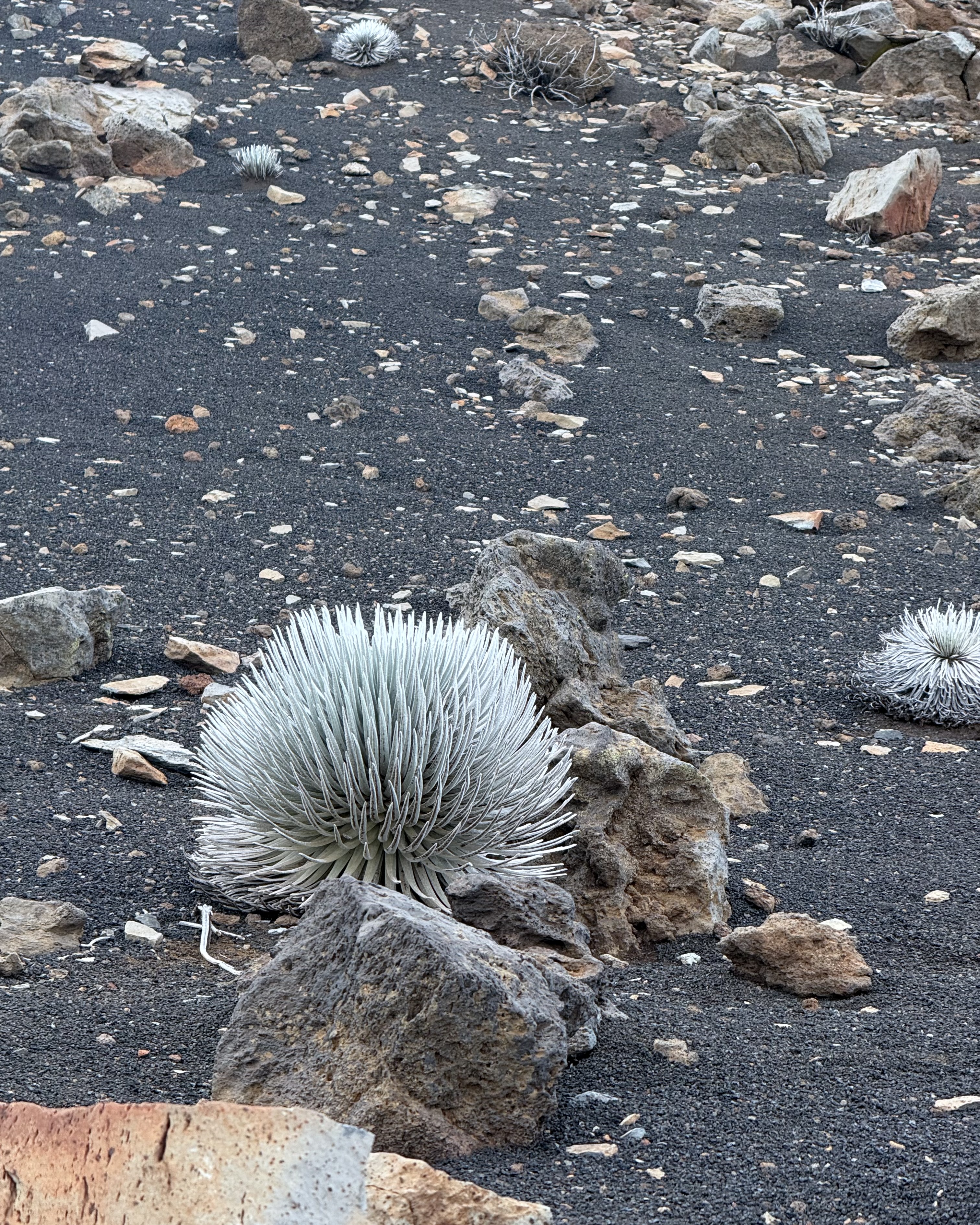 Personal photo from Haleakalā National Park