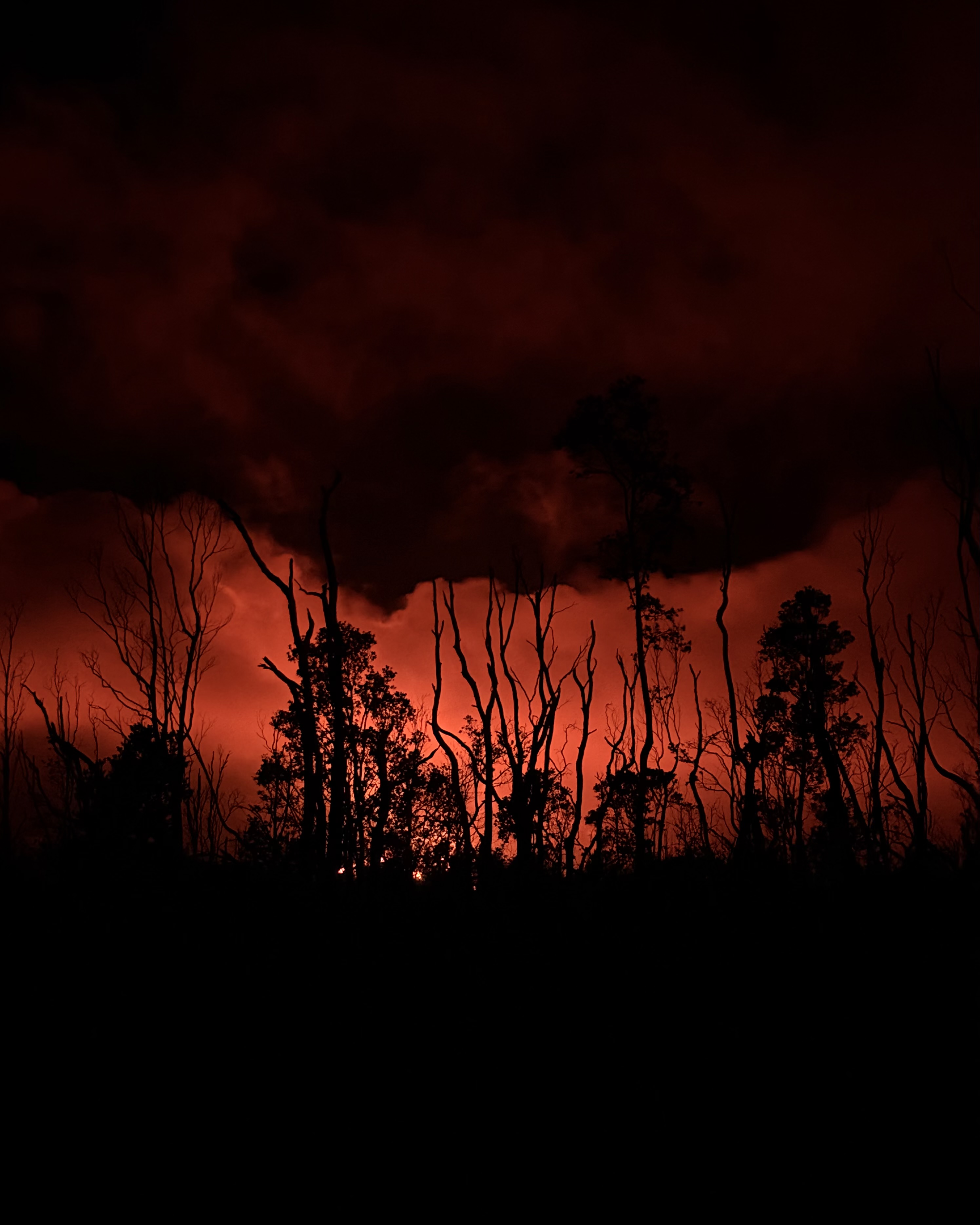 Personal photo from Hawaiʻi Volcanoes National Park