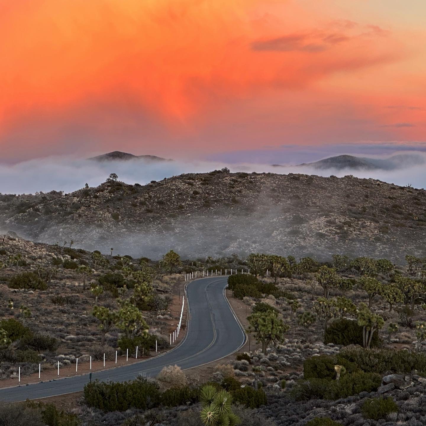 Personal photo from Joshua Tree National Park
