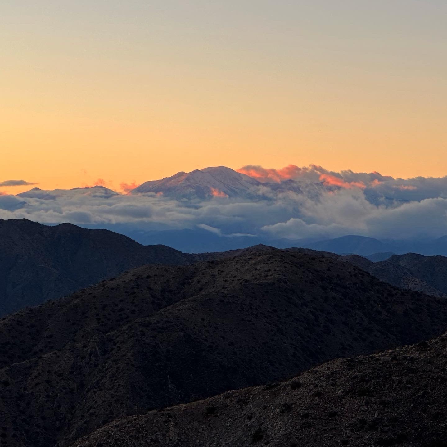 Personal photo from Joshua Tree National Park
