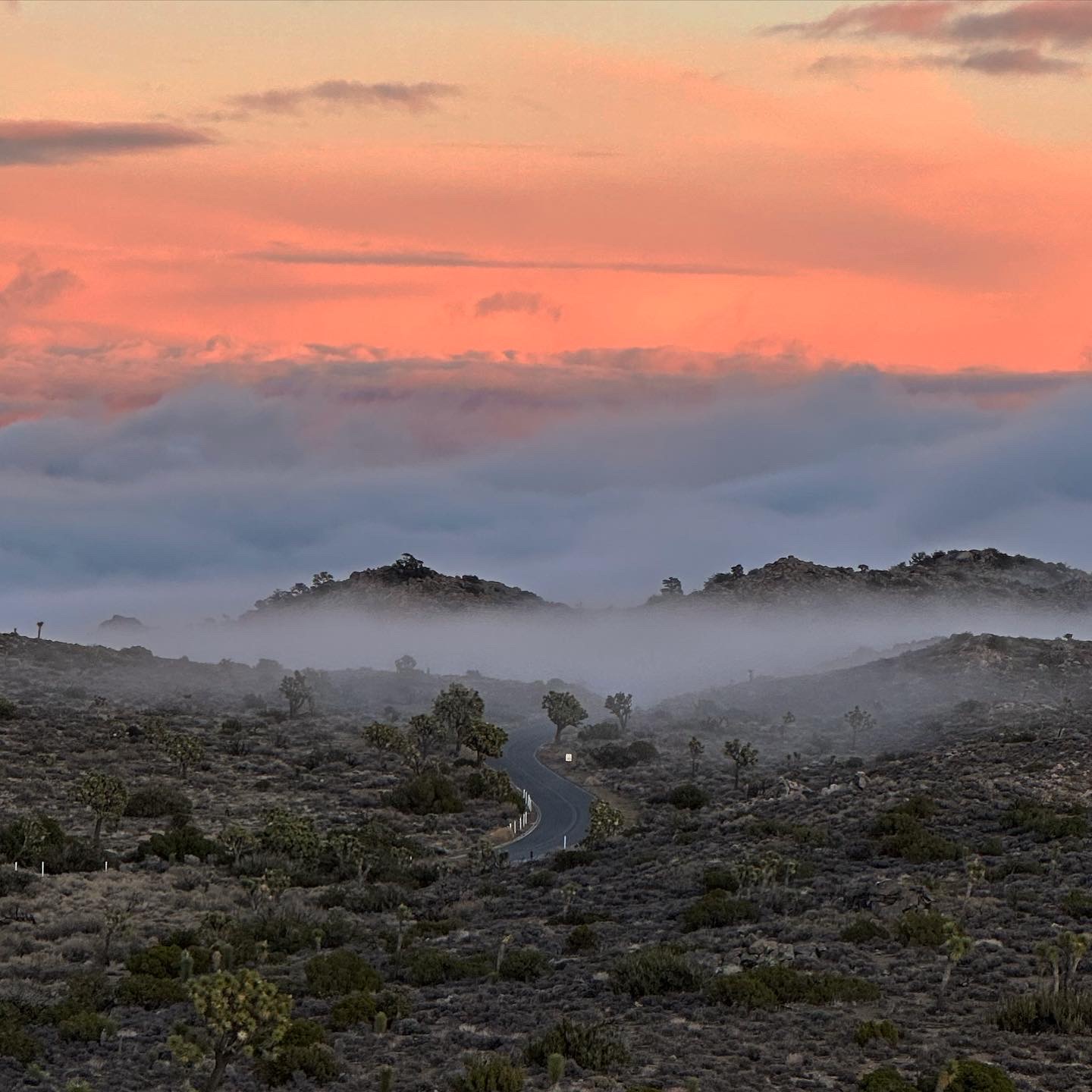Personal photo from Joshua Tree National Park