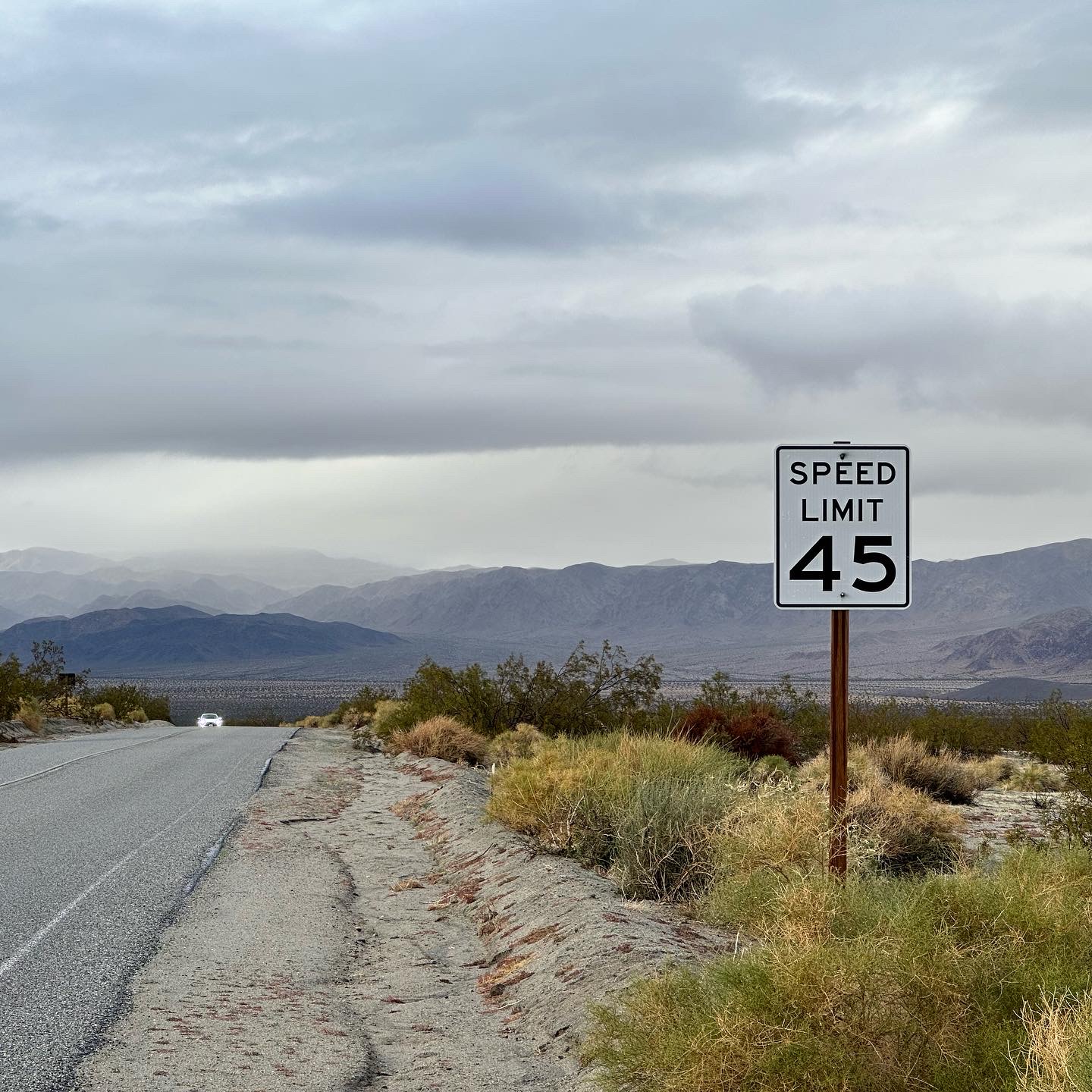 Personal photo from Joshua Tree National Park