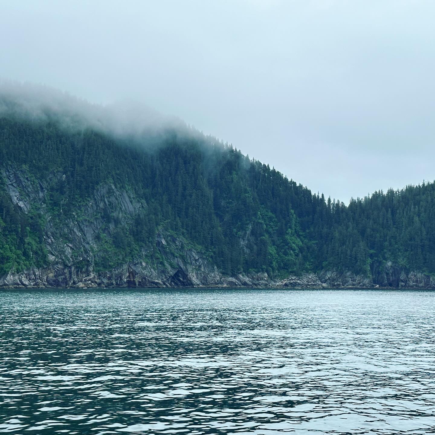 Personal photo from Kenai Fjords National Park