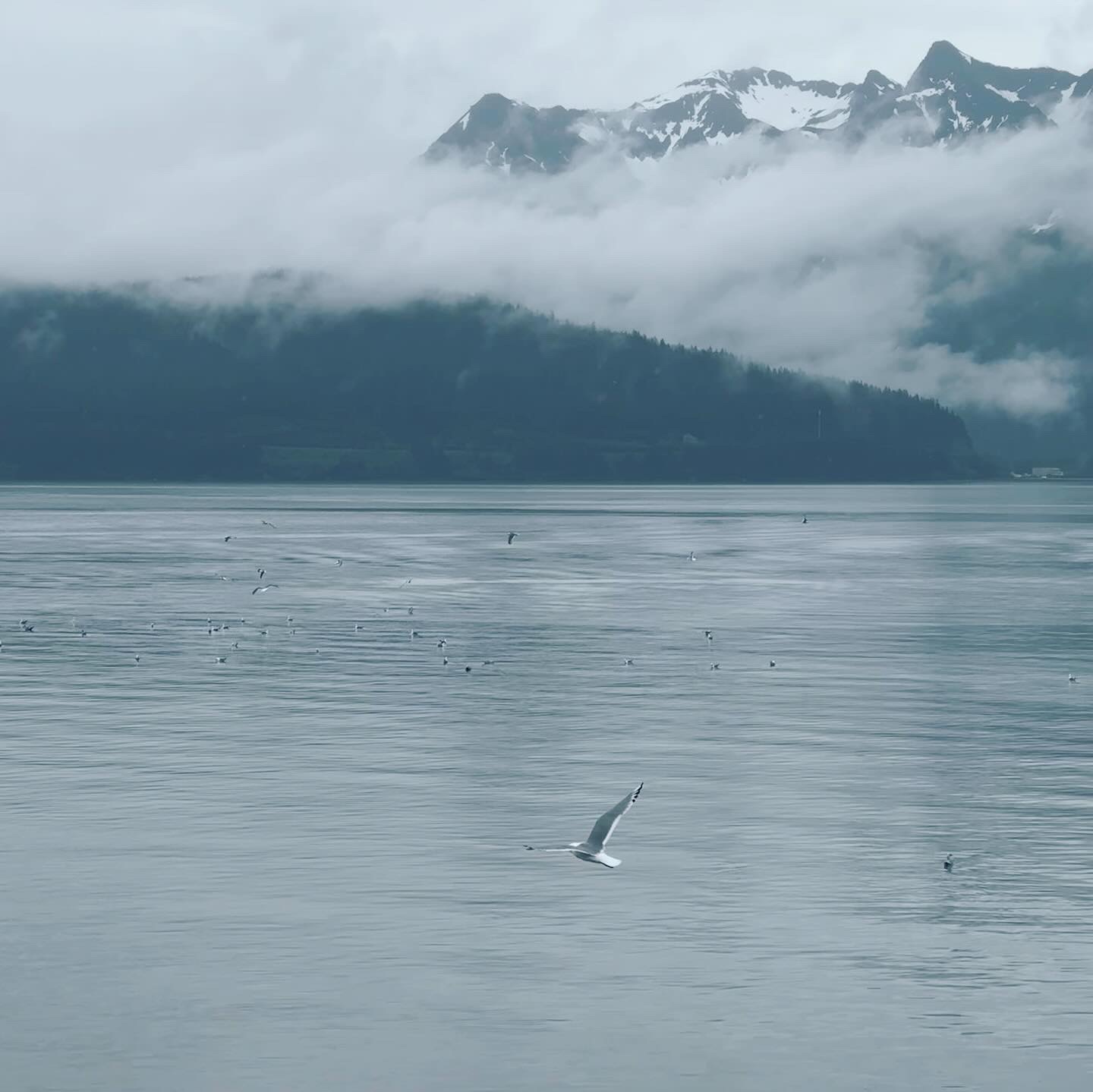 Personal photo from Kenai Fjords National Park