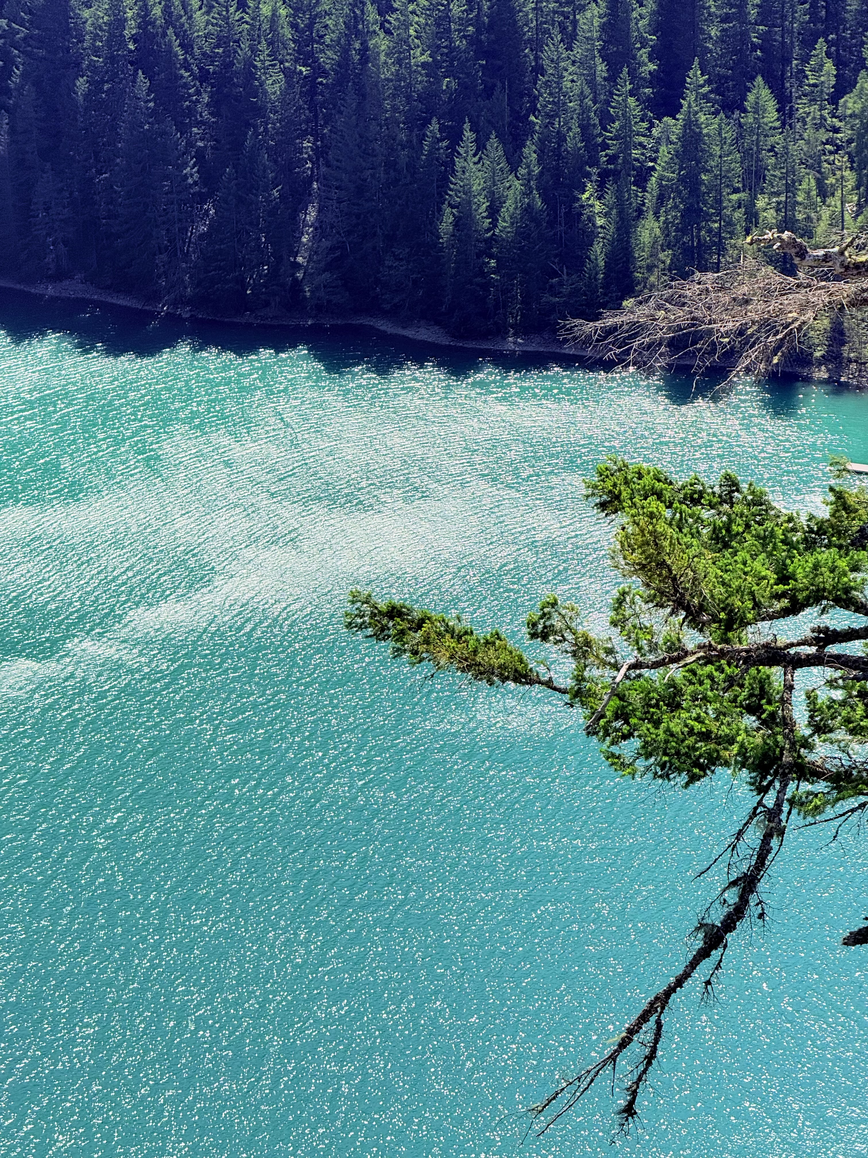 Personal photo from North Cascades National Park