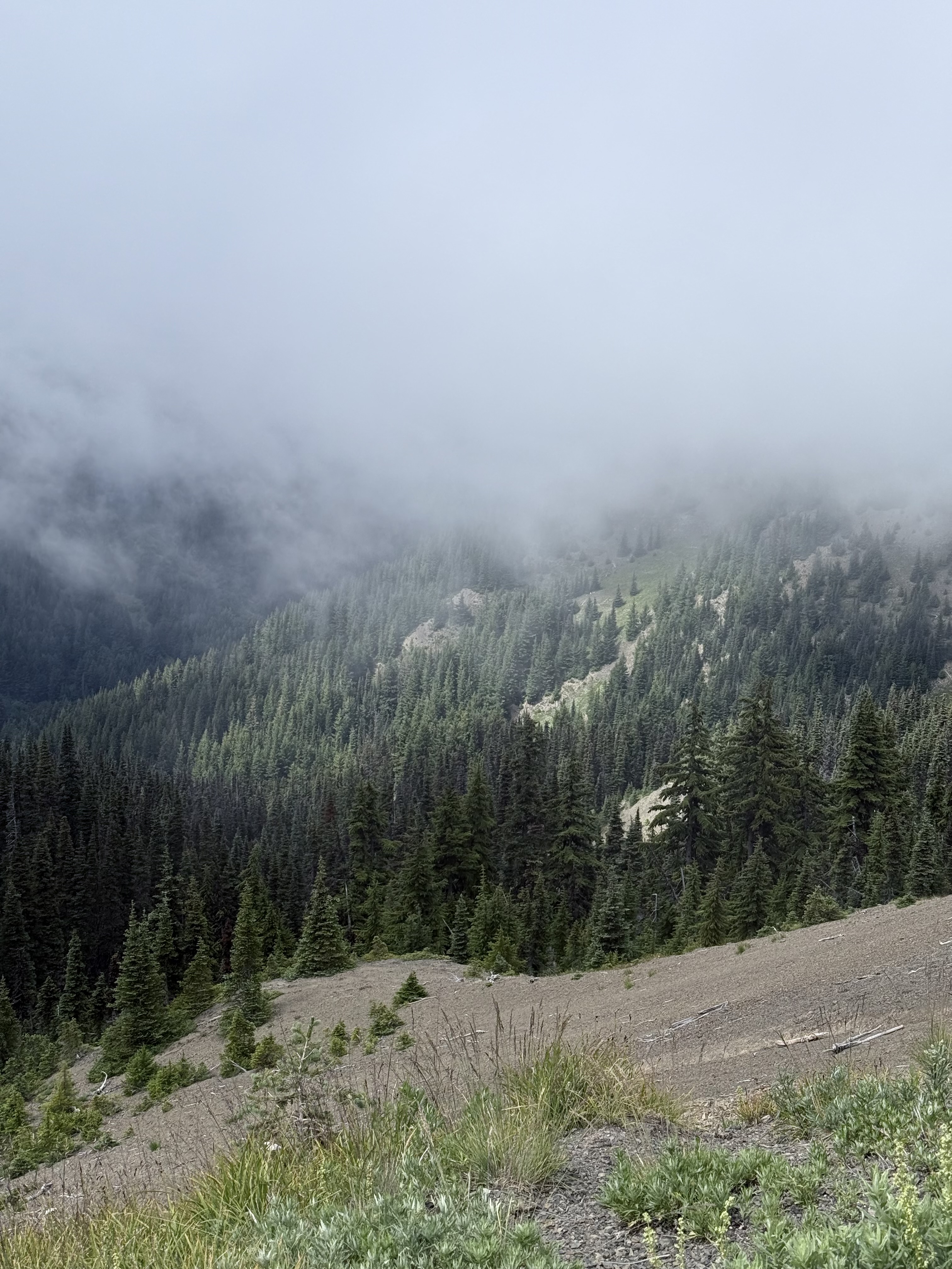 Personal photo from Olympic National Park