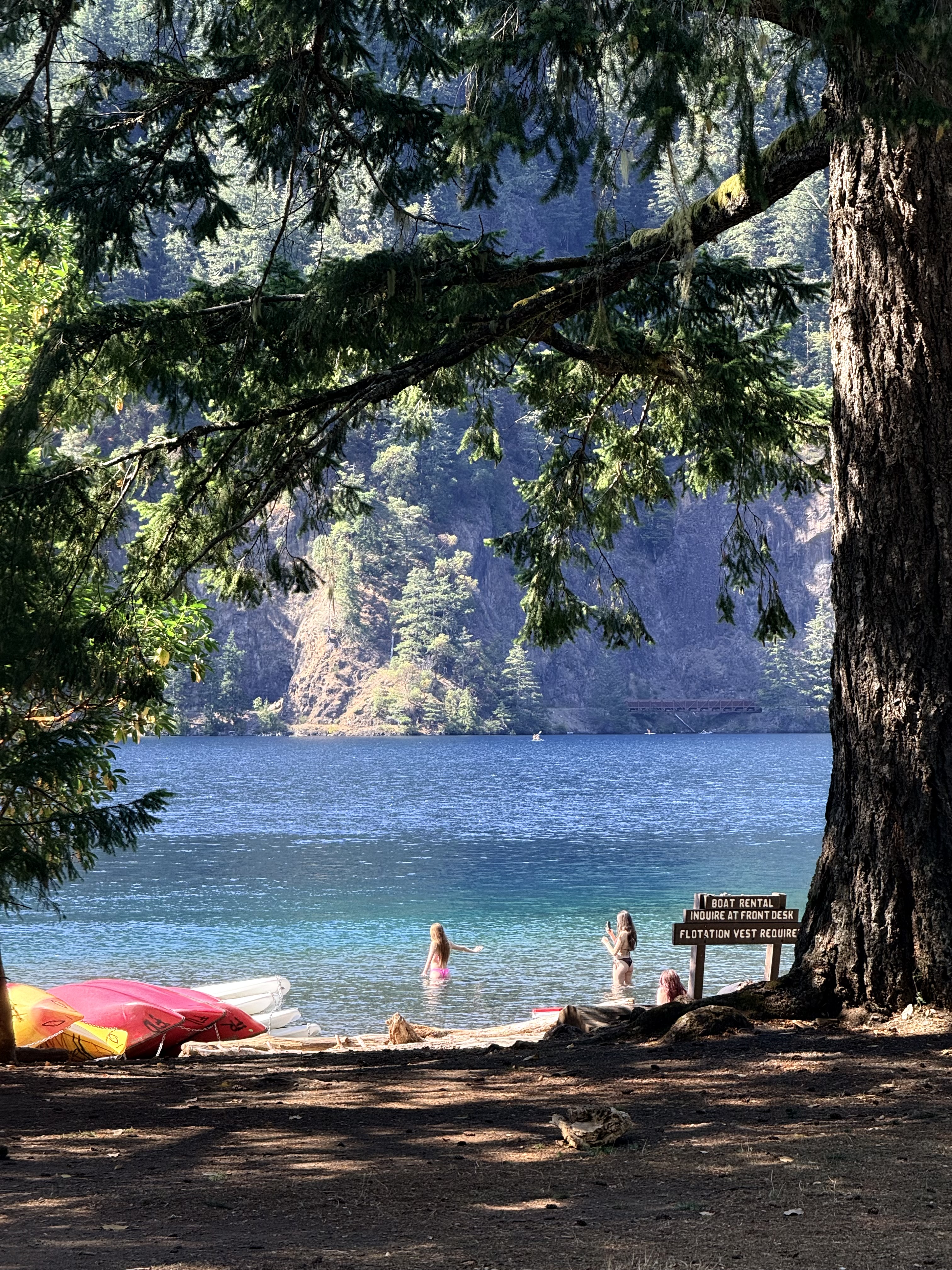 Personal photo from Olympic National Park
