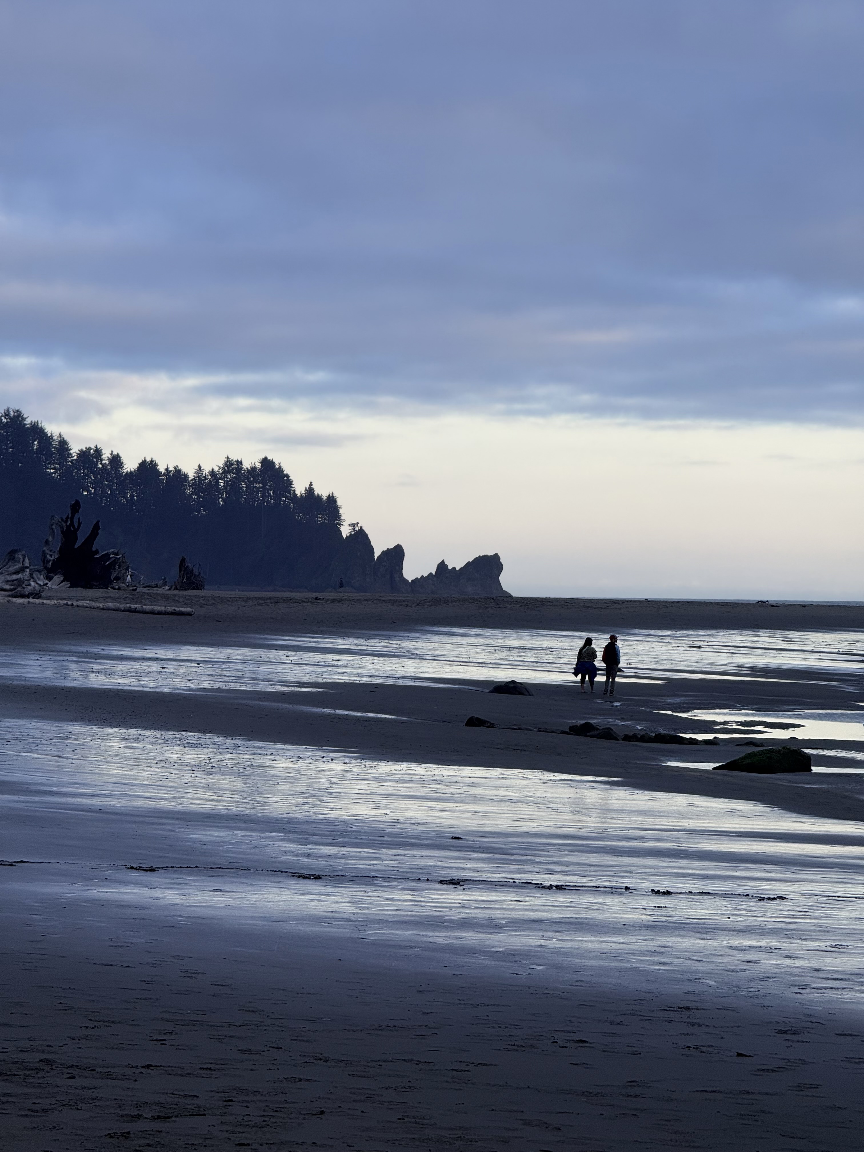 Personal photo from Olympic National Park