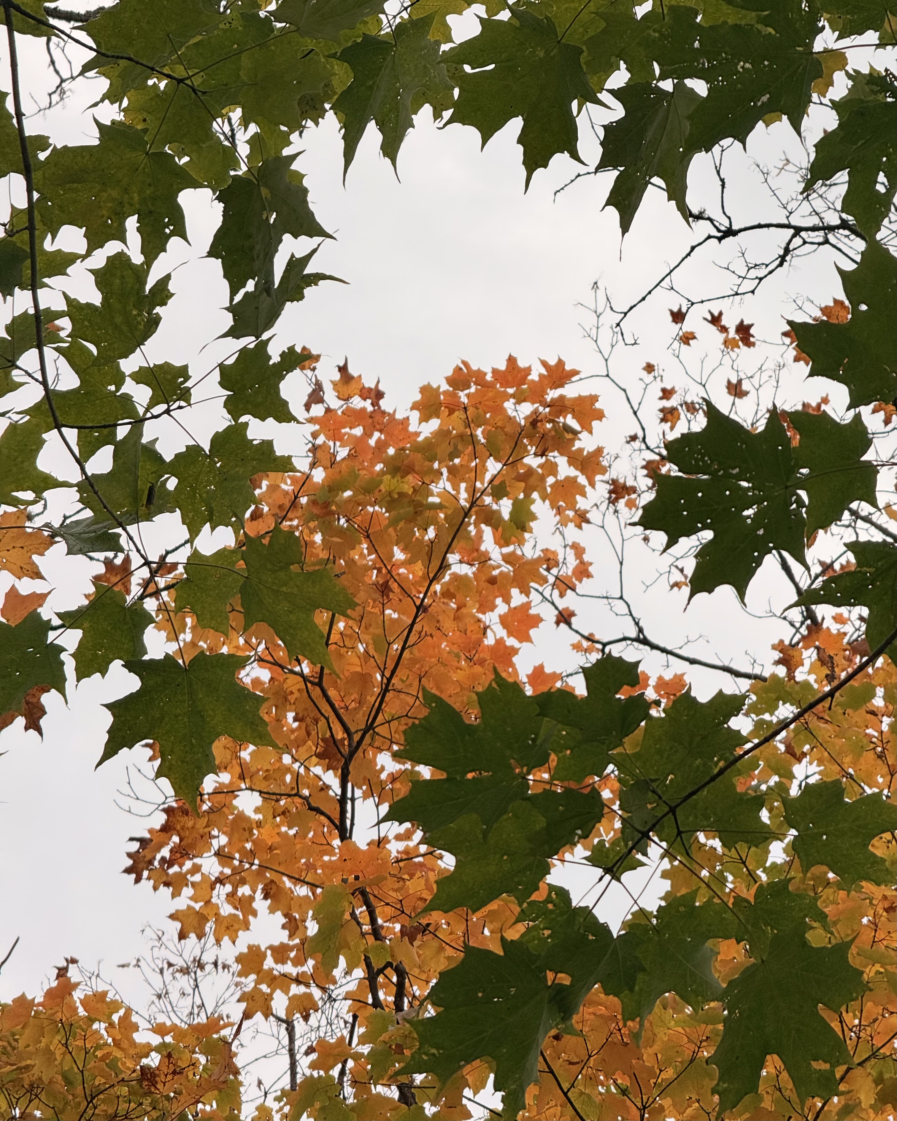Personal photo from Voyageurs National Park