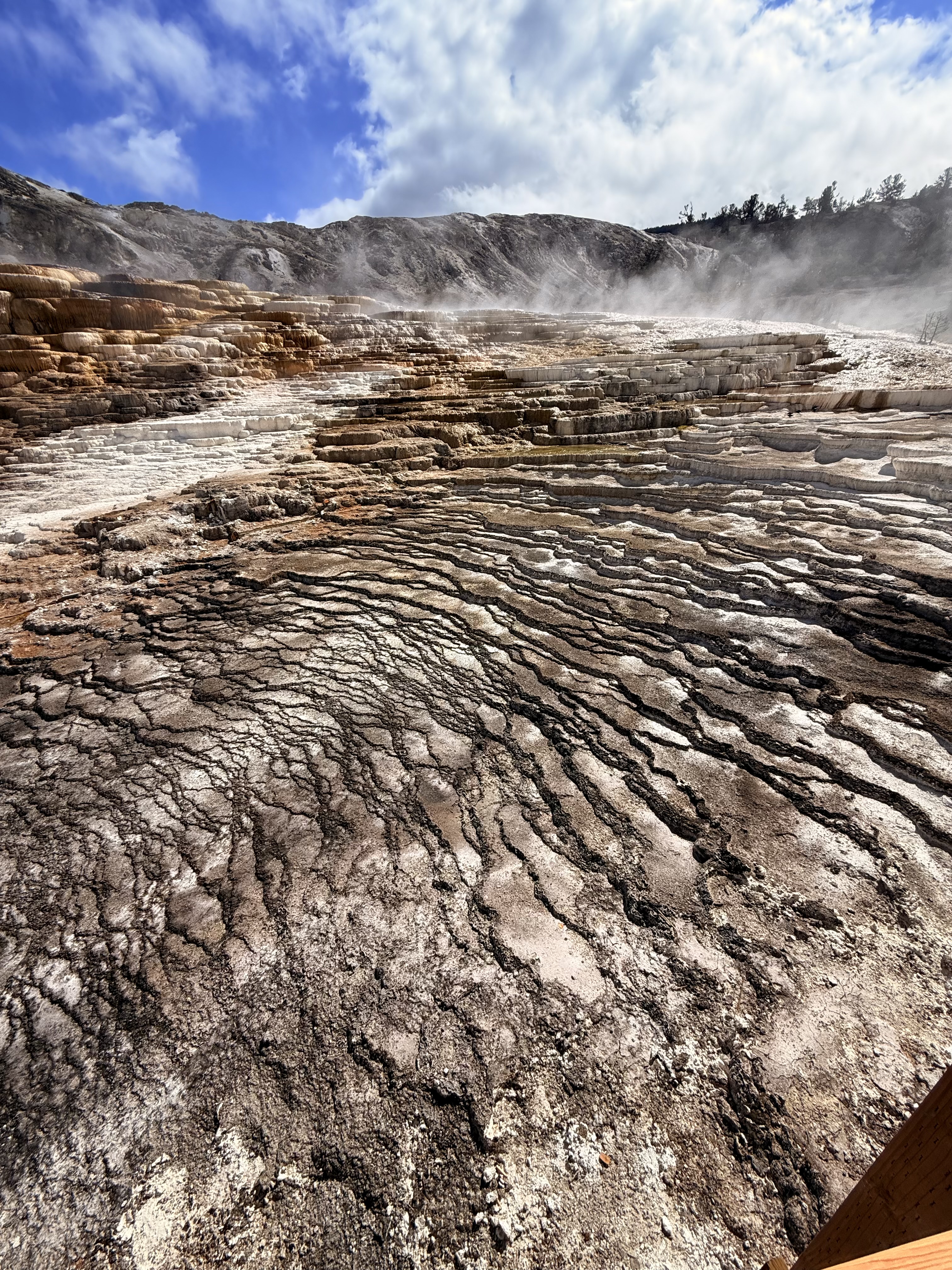 Personal photo from Yellowstone National Park