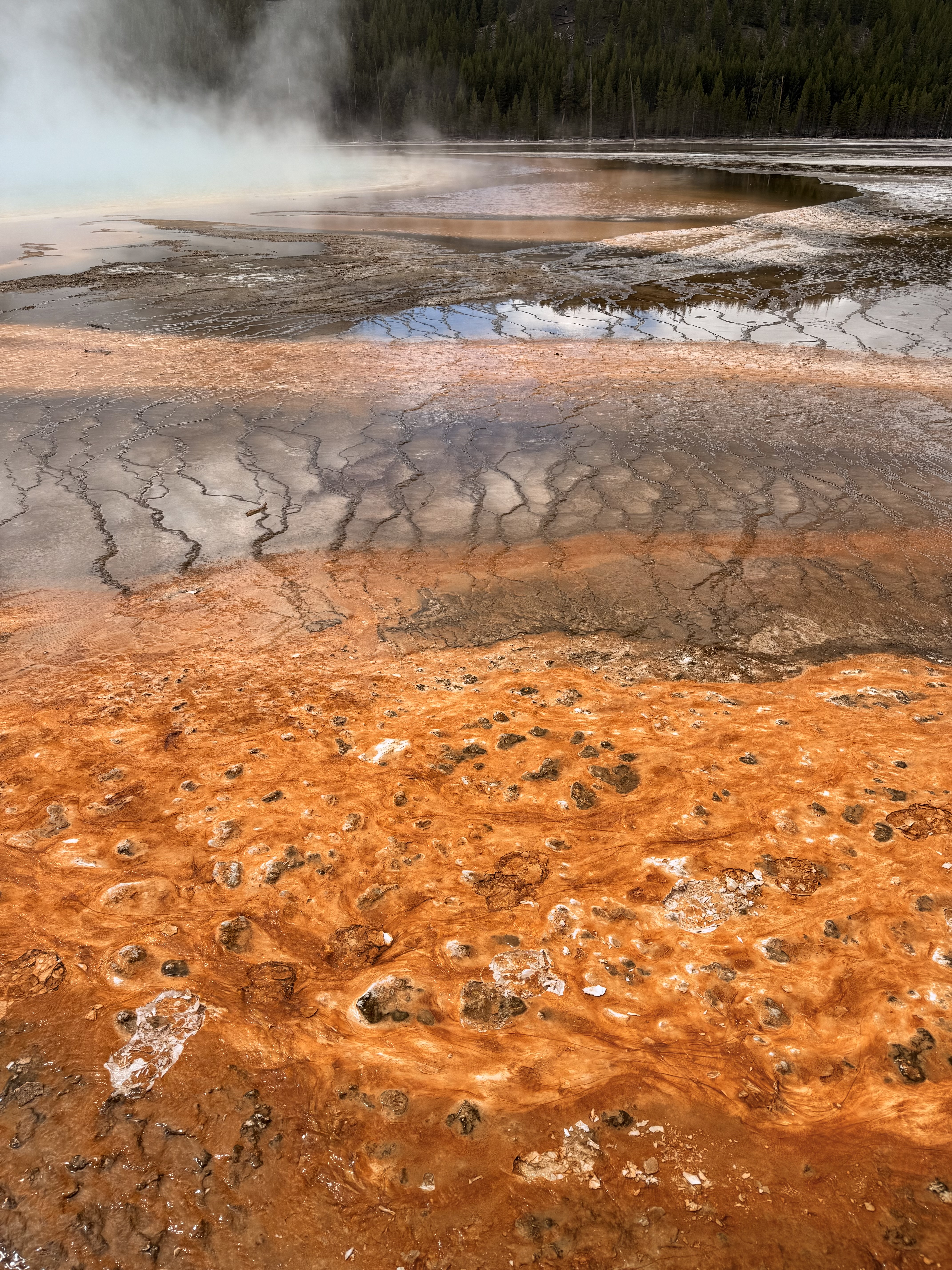 Personal photo from Yellowstone National Park