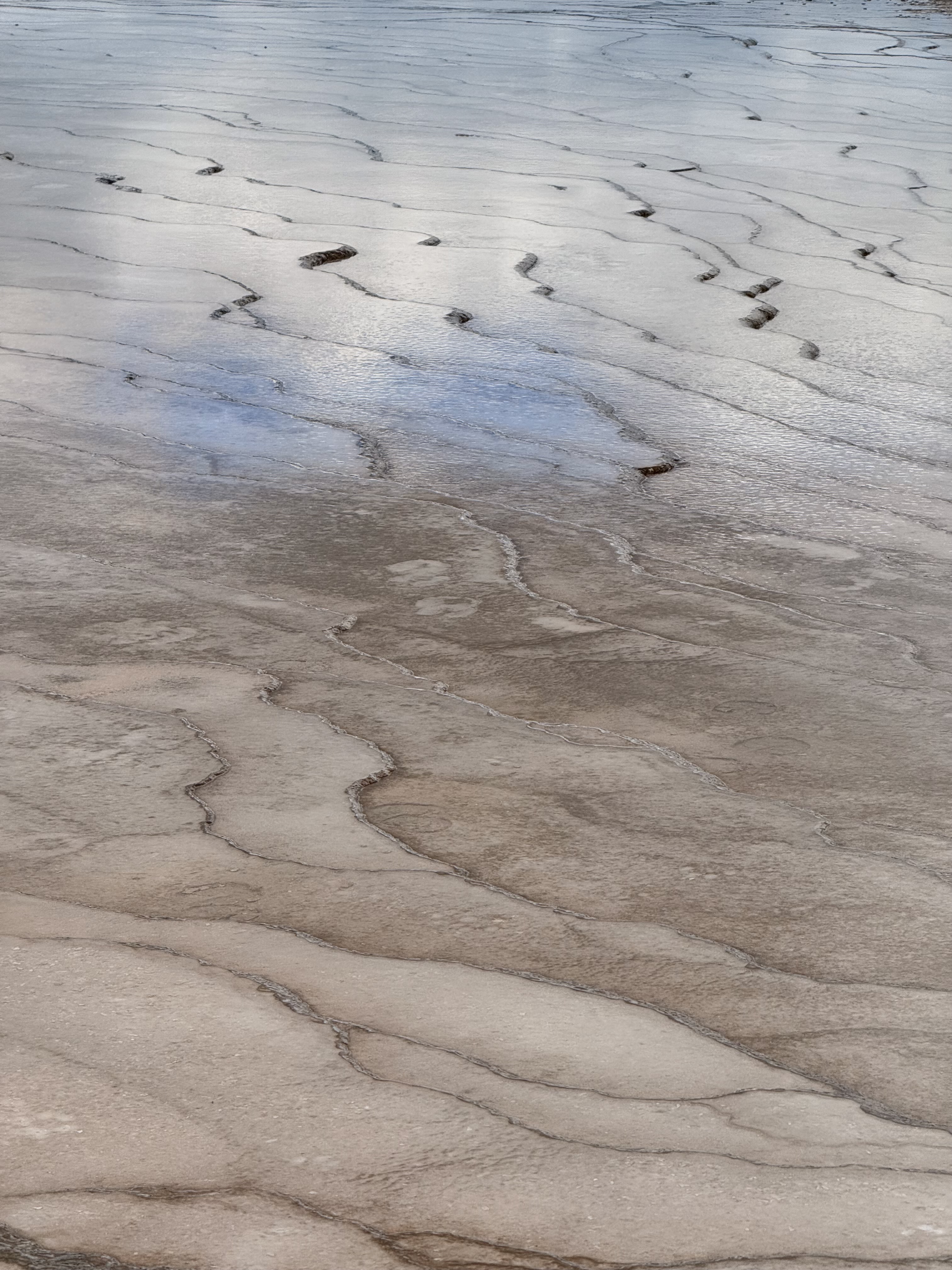 Personal photo from Yellowstone National Park