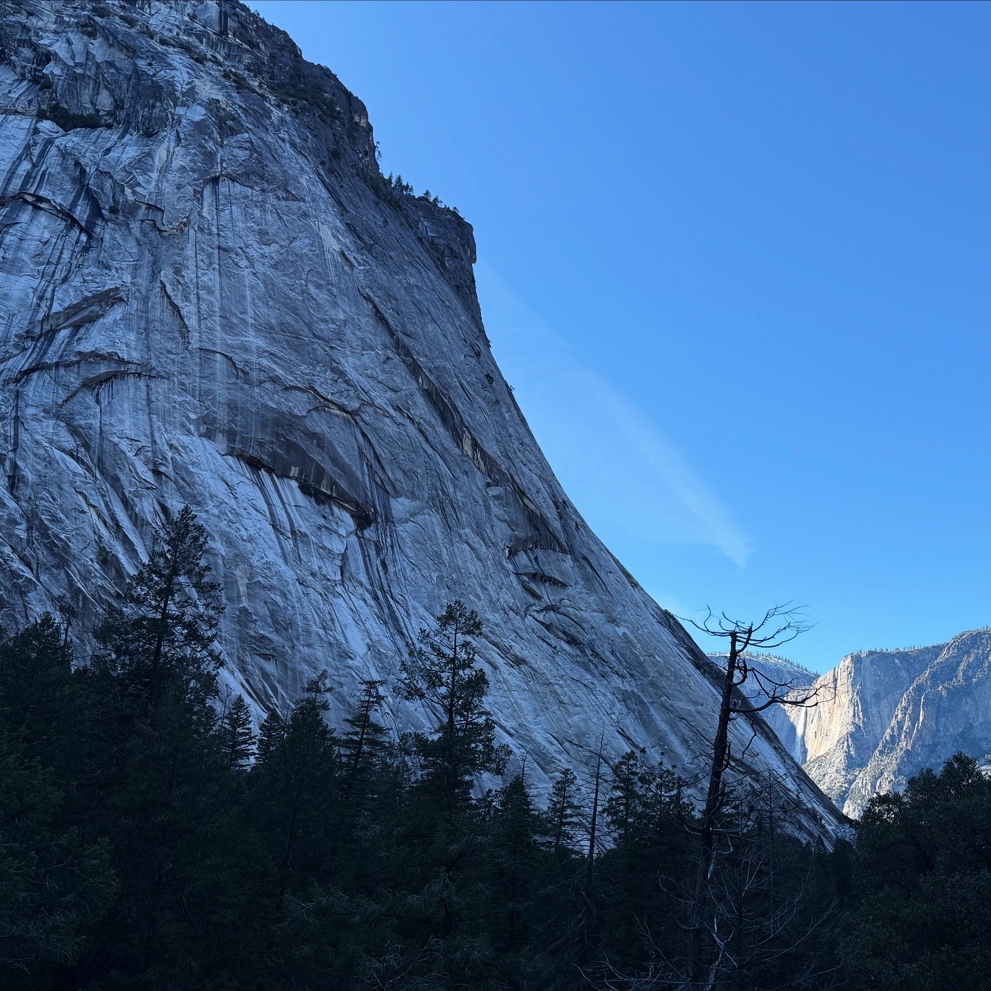 Personal photo from Yosemite National Park