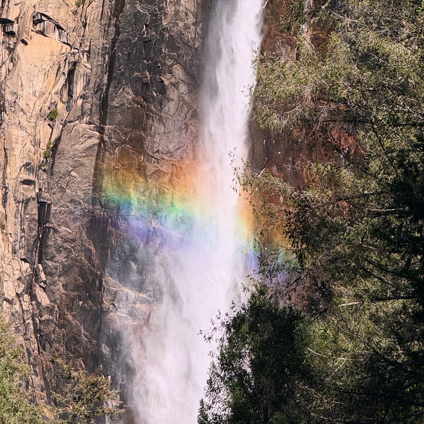 Personal photo from Yosemite National Park